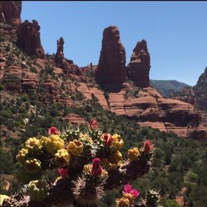 🌵On Vacation🌵 Back April 23 ☀️🍹👨‍👩‍👧‍👦