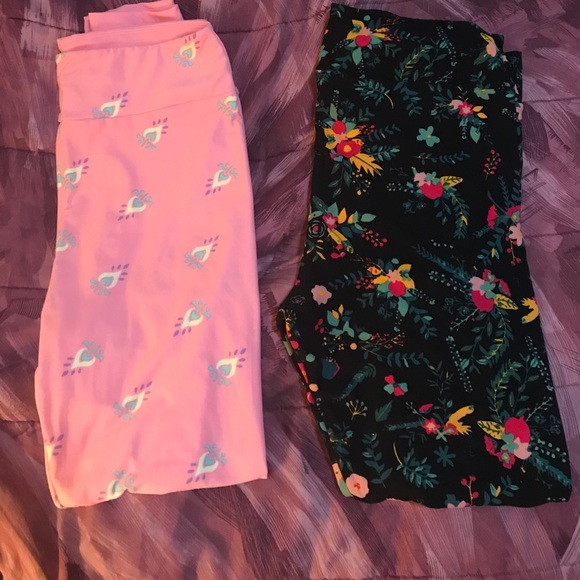 Lularoe leggings bundle - Picture 1 of 4