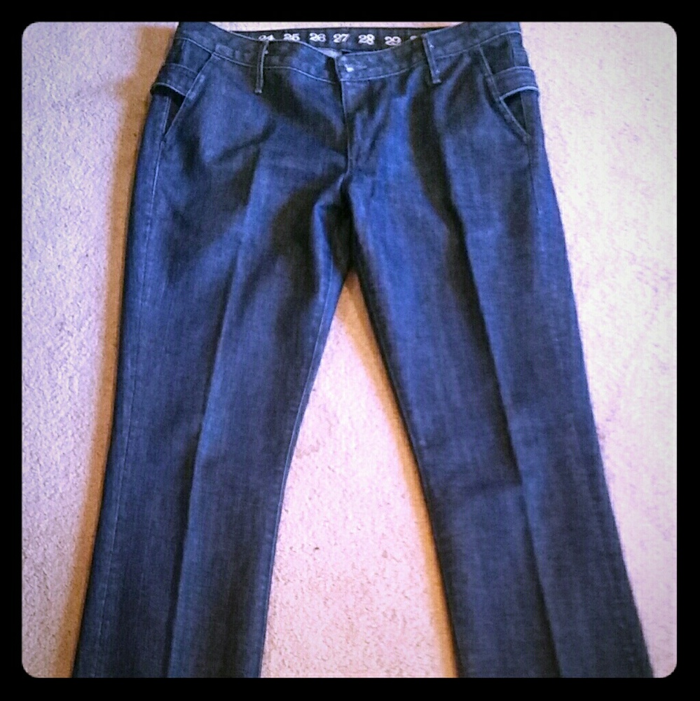 Unusual Pair of Earnest Sewn jeans. Euc 31x34.