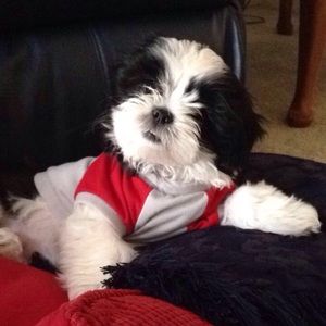 Meet your Posher, Renae