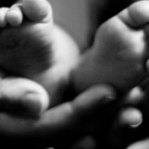 Meet your Posher, Sylvia - Picture 1 of 1