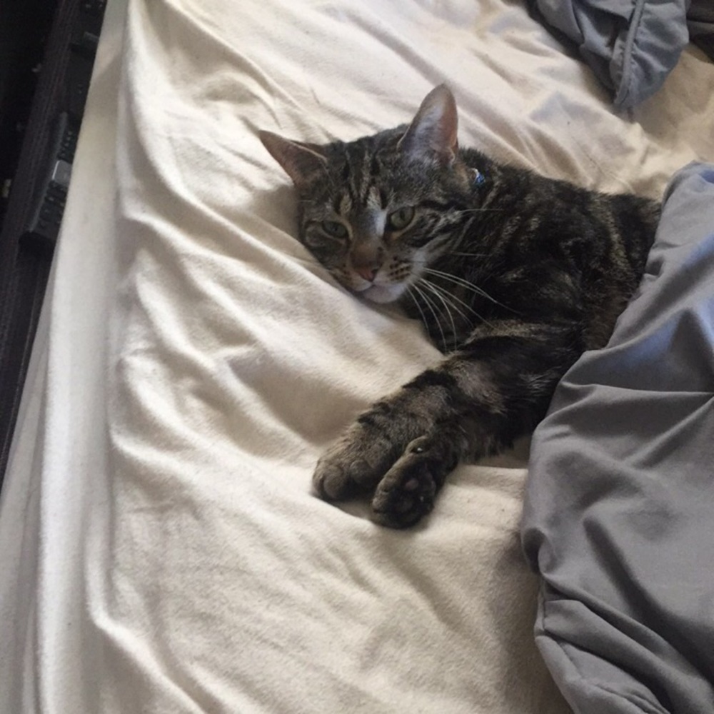 Meet your Posher, Ashleigh