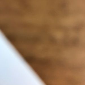 Meet your Posher, Bradley