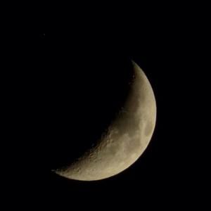 Meet your Posher, Lili