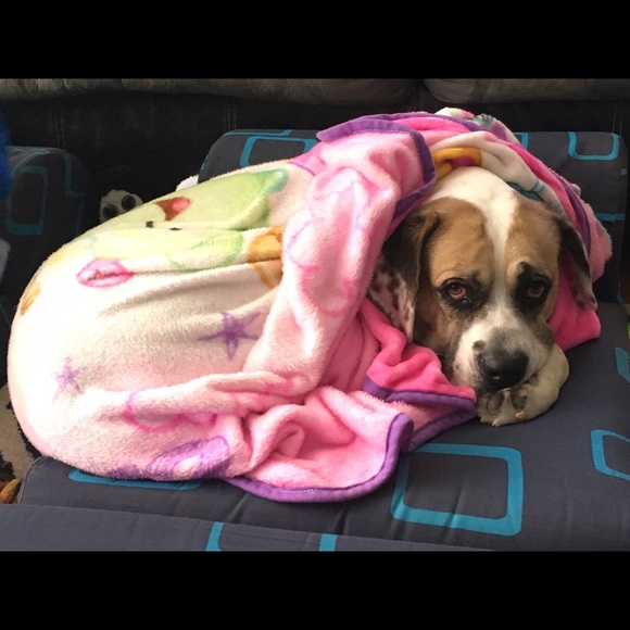 Meet your Posher, Harmony - Picture 3 of 6