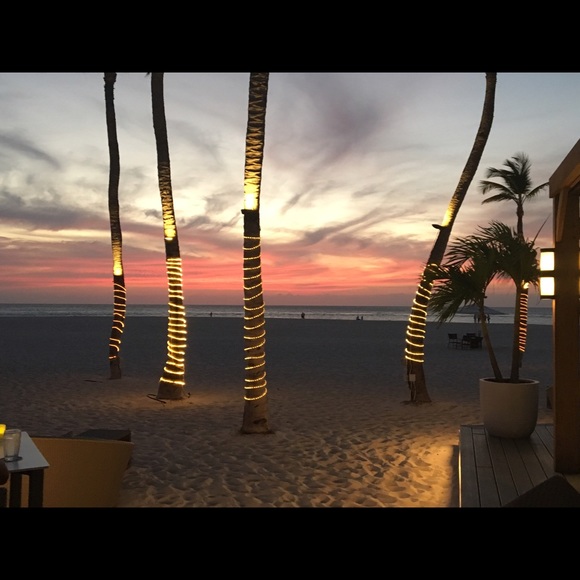 Meet your Posher, Harmony - Picture 6 of 6