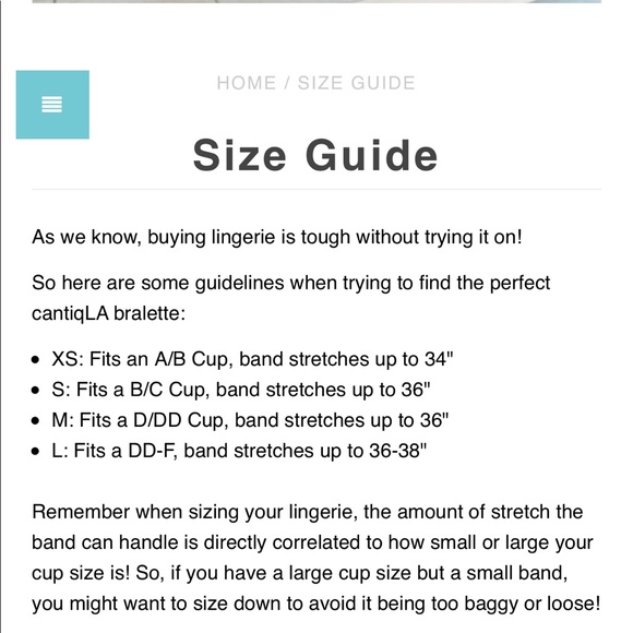 Cantiq LA Custom made blue bralette! Size Large - Picture 2 of 2