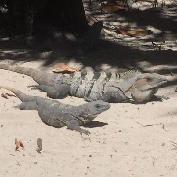 Meet your Posher, John - Picture 1 of 1