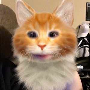 Meet your Posher, Dani