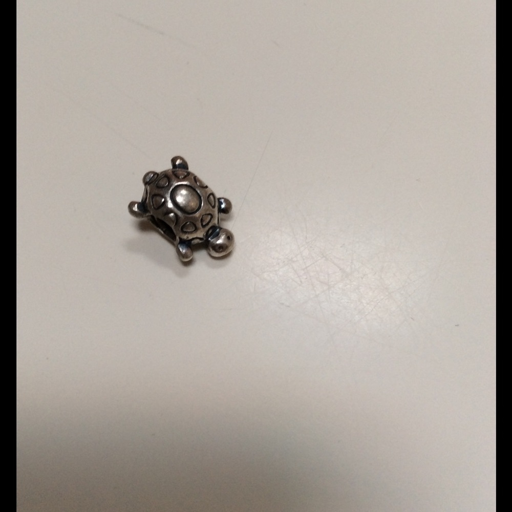 Pandora charm