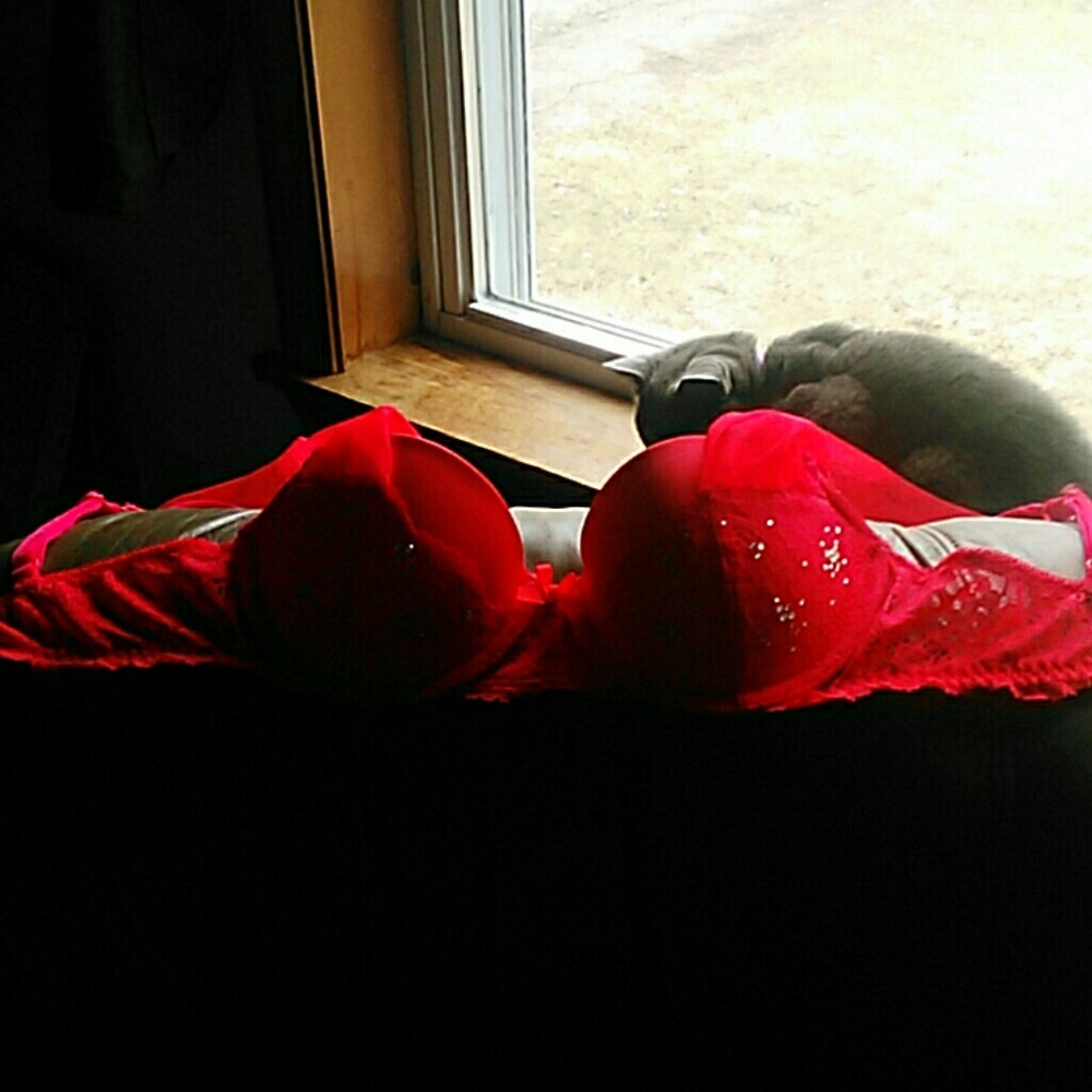 Victoria's secret