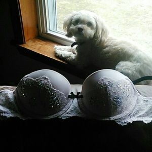 Victorias Secret push up bra 32b