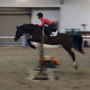 Meet your Posher, Kara