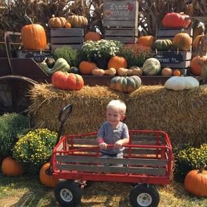 Meet your Posher, Savannah