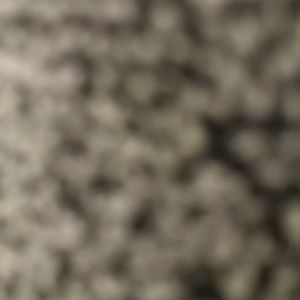 Meet your Posher, Frank