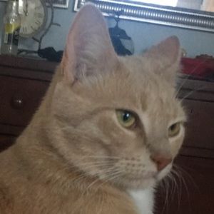 Meet your Posher, Marie