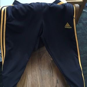 Adidas Tiro 16 Pants