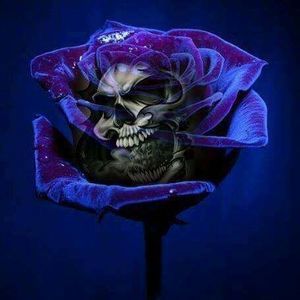 Meet your Posher, Mandy