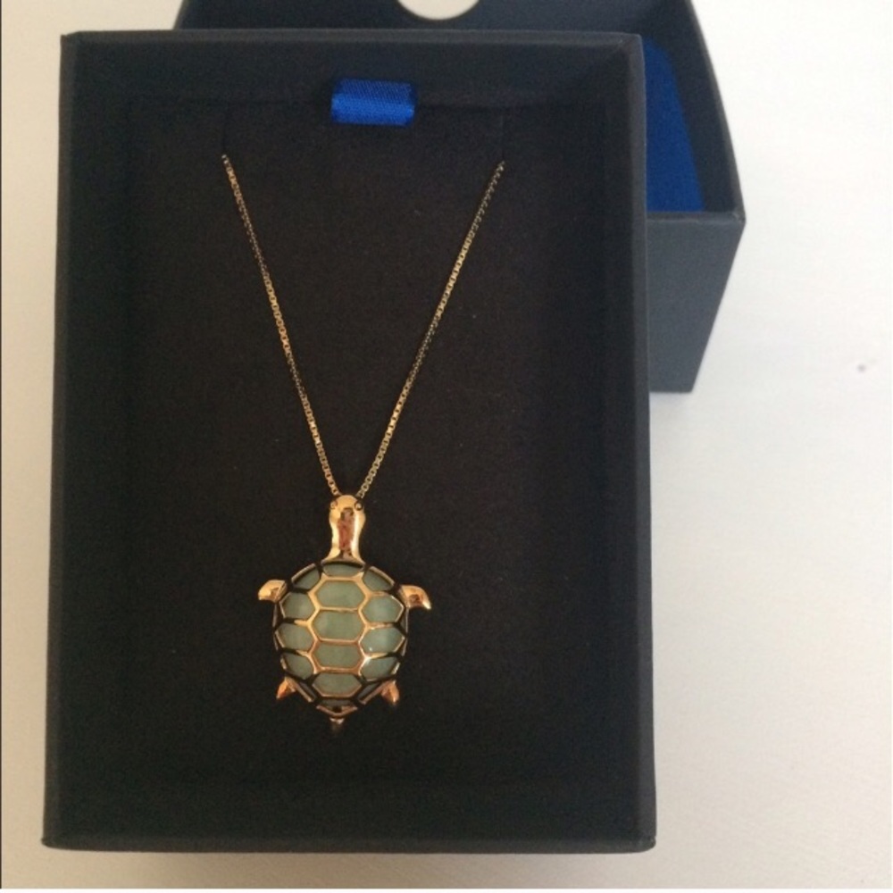 Turtle necklace