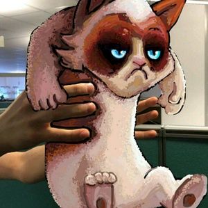 Meet your Posher, Paulina