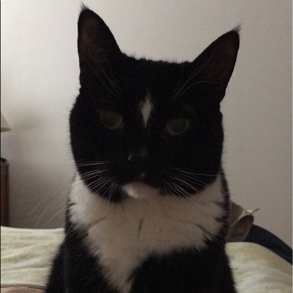 Meet your Posher, Rebecca - Picture 2 of 2