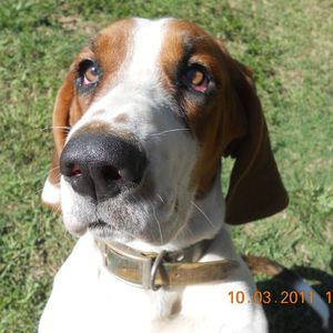 Meet your Posher, Sharon