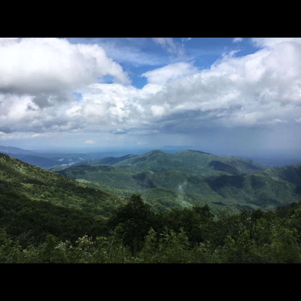 Meet your Posher, Brandi