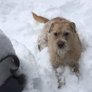 Meet your Posher, Barbara