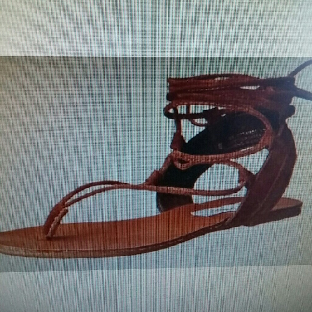 Women's Steve Madden WALKITT Gladiator Sandal
