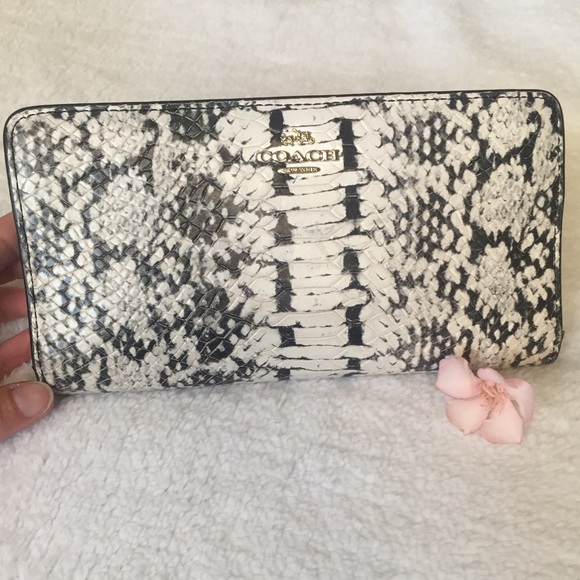 coach python wallet