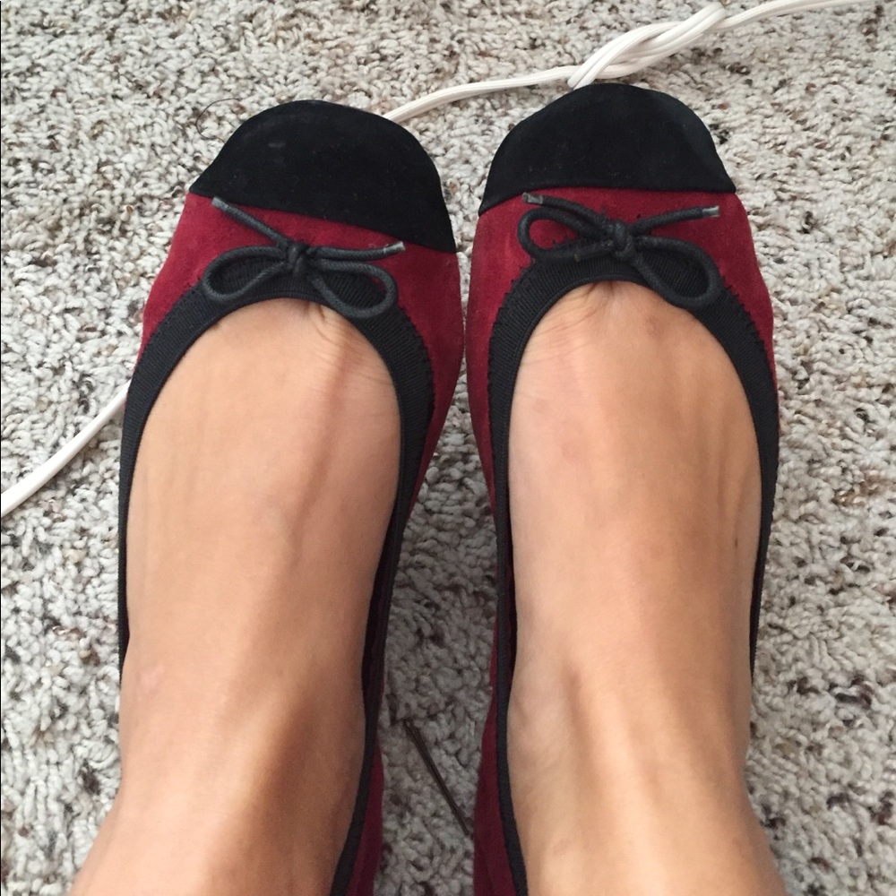 Fold up flats- NEVER WORN