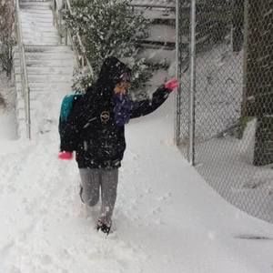 Meet your Posher, Crystal