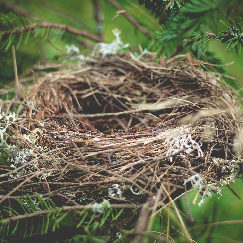 Meet your Posher, Thrifty