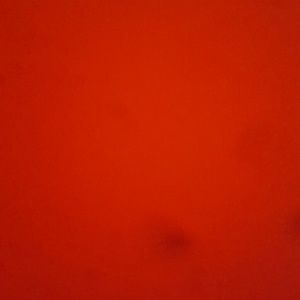 Meet your Posher, Collin