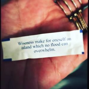 Meet your Posher, Jane