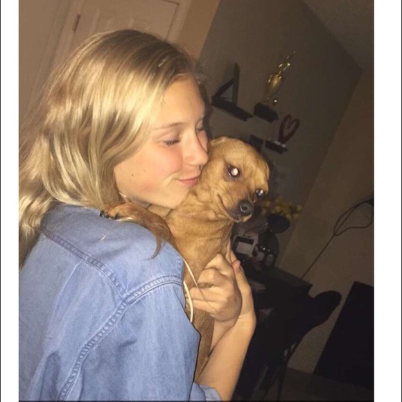 Meet the posher - Picture 2 of 3