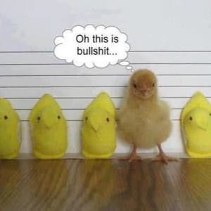 Meet your Posher, Beverly