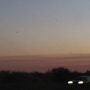 Meet your Posher, Monica