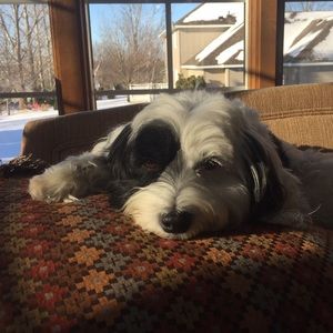 Meet your Posher, Anna