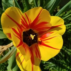 Meet your Posher, Dana