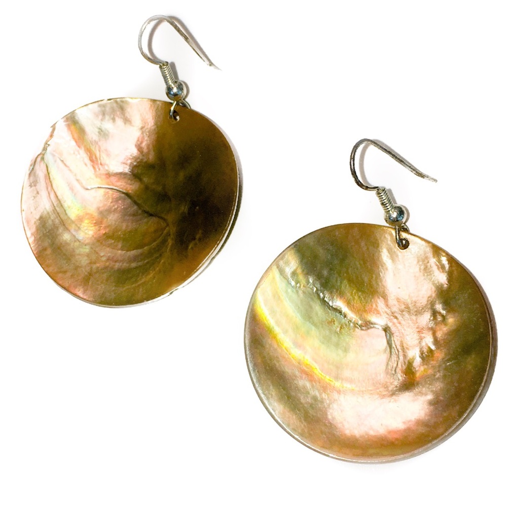 Chic Authentic Abalone Shell Earrings - image 1