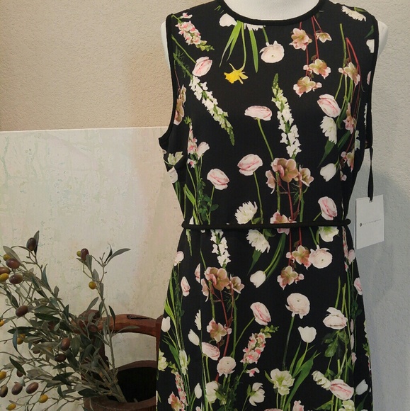 VBxT Breezy English Floral Dress- Sold out online! - Picture 1 of 5