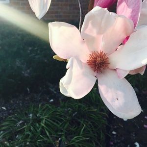 Meet your Posher, Laiton