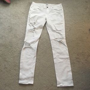 Distressed Paige Brand Jeans