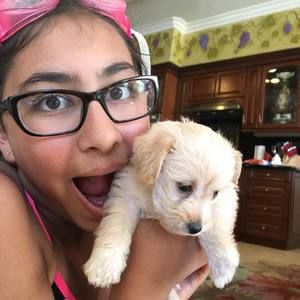 Meet your Posher, Juleene