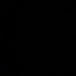 Meet your Posher, Lora