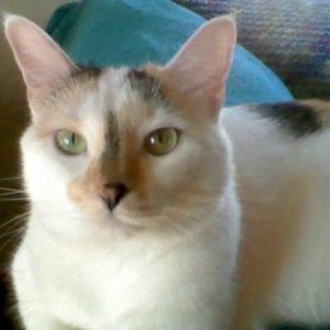 Meet your Posher, Deborah