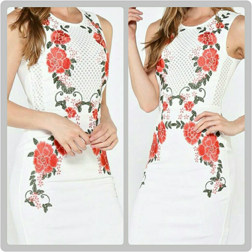 Stunning Embroidered Body-con Mini Dress