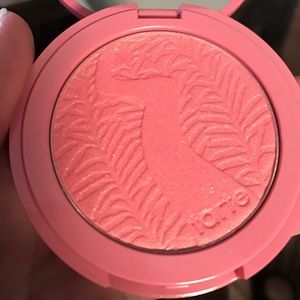 Tarte Amazonian Clay brush in Glisten