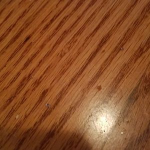 Meet your Posher, Gloria